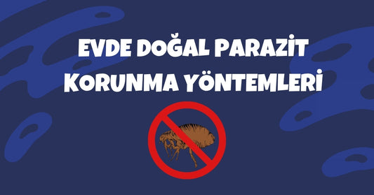 Kedi ve Köpekler İçin Evde Doğal Parazit Koruma Yöntemleri