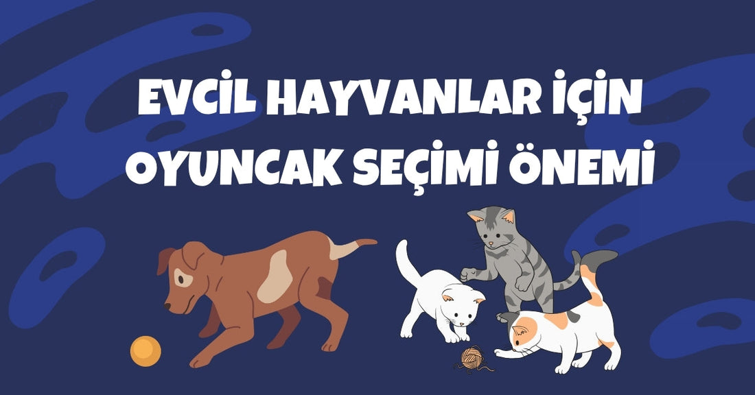 Evcil Hayvanlar İçin Oyuncak Seçimi Neden Bu Kadar Önemli? – Bilimsel Gerçekler ve Uzman İpuçları