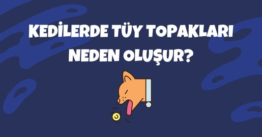🐱 Kedilerde Tüy Topakları (Hairball) Neden Oluşur ve Nasıl Önlenir?