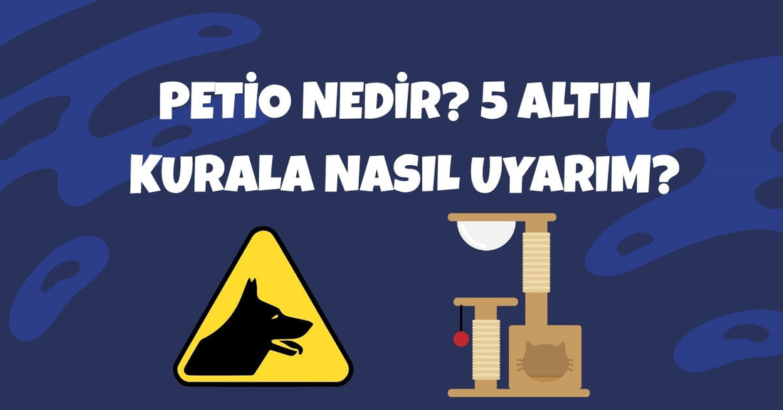 Petio Nedir? Kediler ve Köpekler İçin Güvenli Açık Alan Tasarlamanın 5 Altın Kuralı