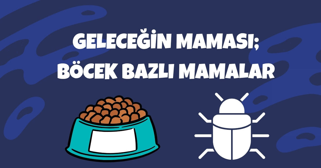 Böcek Bazlı Evcil Hayvan Maması: Geleceğin Sürdürülebilir ve Sağlıklı Alternatifi