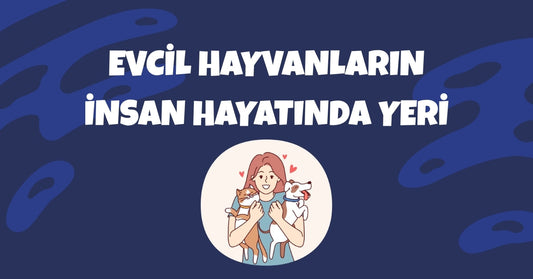 🐾 Evcil Hayvanların İnsan Hayatındaki Yeri: Tarihten Günümüze Dostluk ve Faydaları