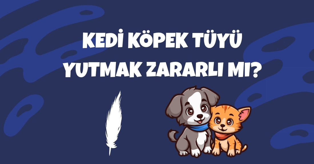 Evde Kedi ya da Köpek Tüyü Yutmak Zararlı mı? Gerçekler ve Yanlış Bilinenler