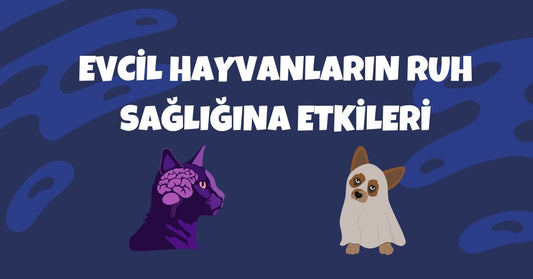 🐾 Evcil Hayvanların İnsan Ruh Sağlığına Katkısı