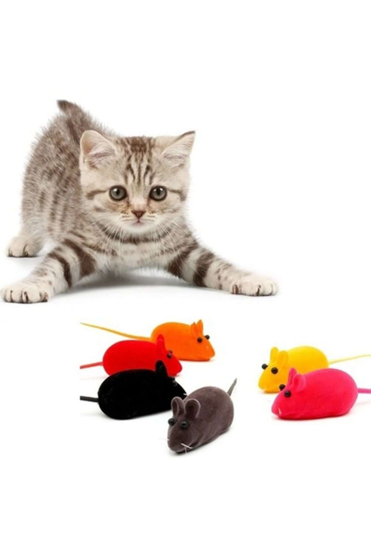 kedi oyuncakları