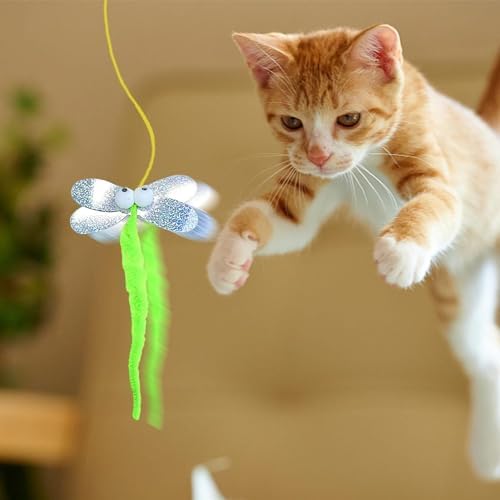 ZippyZap v2 Duvara Yapışkanlı Kedi Oyuncağı