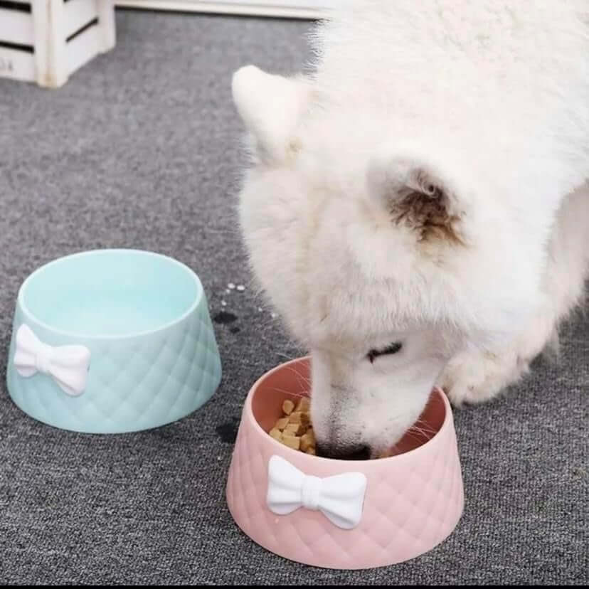 kedi mama kabı
