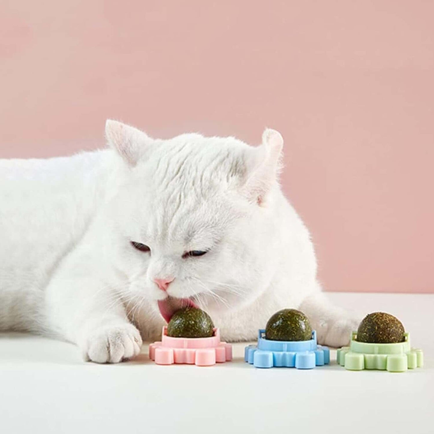 kedi otu ürünleri