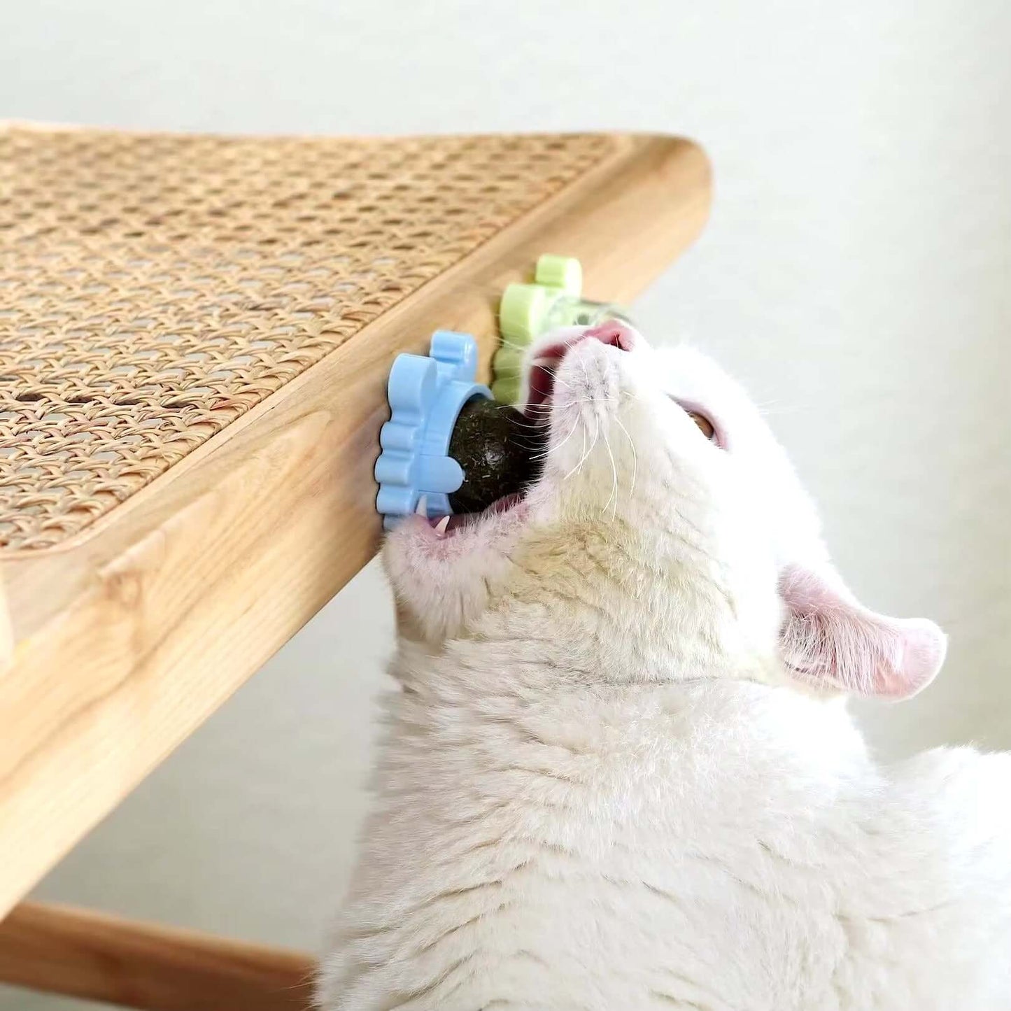 kedi oyuncakları