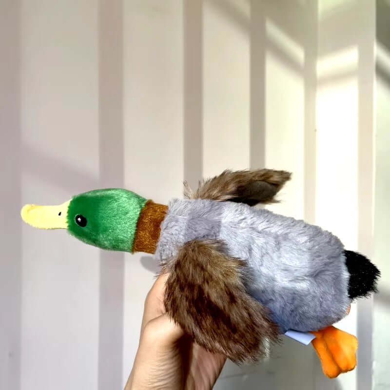 köpek ürünleri