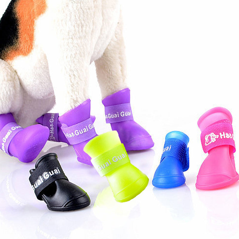 PawShield Kedi Köpek Ayakkabısı