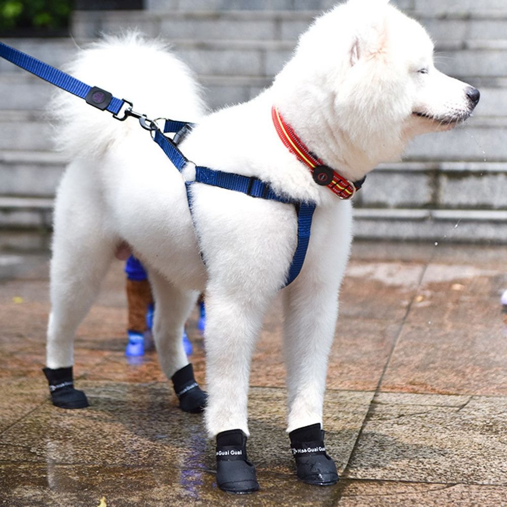 PawShield Kedi Köpek Ayakkabısı