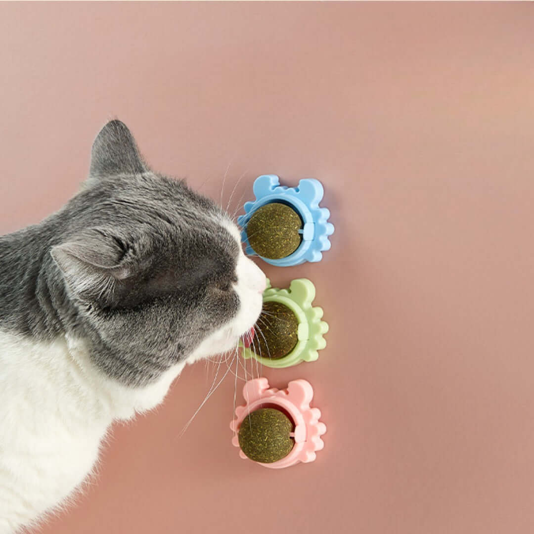 kedi oyuncak