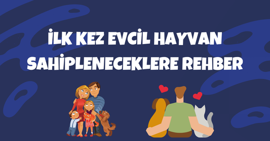 İlk Kez Evcil Hayvan Sahipleneceklere Rehber: Hazırlık, İhtiyaçlar ve Doğru Adımlar