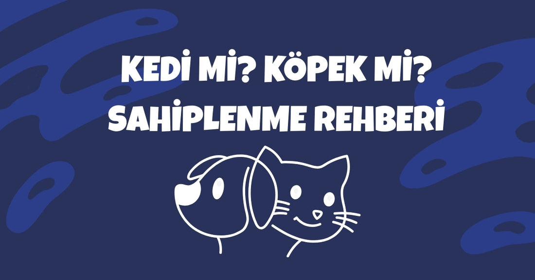 🐾 Kedi mi Köpek mi? Sahiplenmeden Önce Bilmeniz Gereken 7 Fark