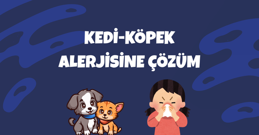Evcil Hayvan Tüyü Alerjisi Nedir? Kedi ve Köpeklerle Birlikte Rahat Yaşamanın Yolları