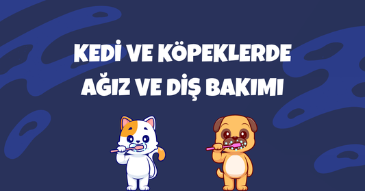 Kedi ve Köpeklerde Ağız ve Diş Sağlığı: Evde Uygulanabilecek Bakım Önerileri