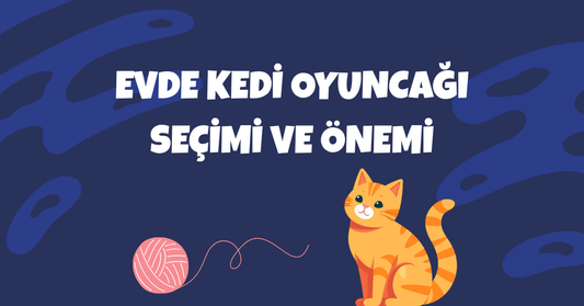Evde Kedi Oyuncağı Kullanmanın Faydaları ve Doğru Oyuncak Seçimi