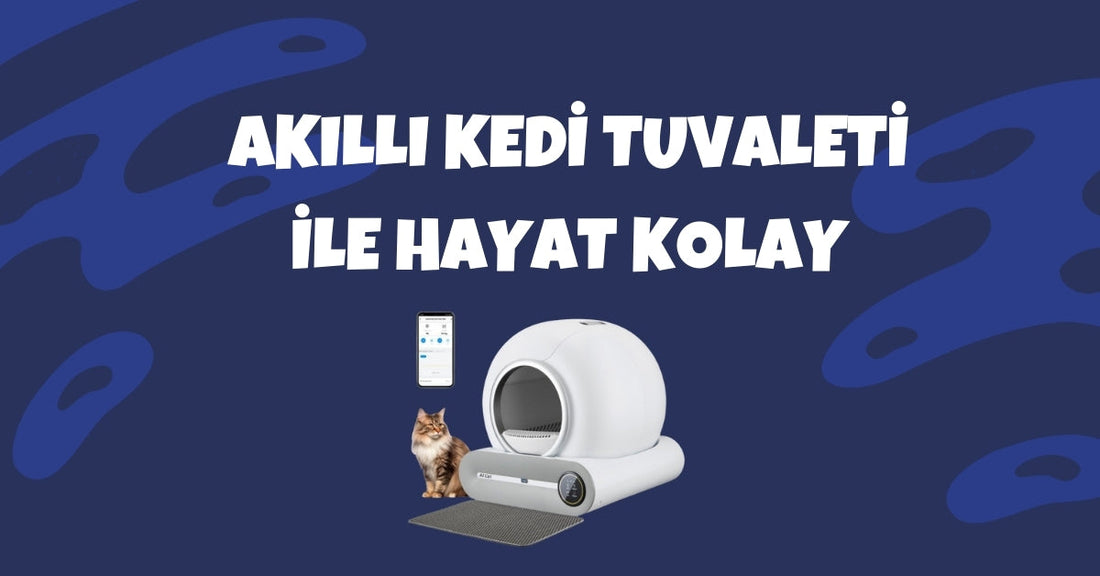 🐱 Akıllı Kedi Tuvaleti ile Hayat Kolay: AICat Deneyimi