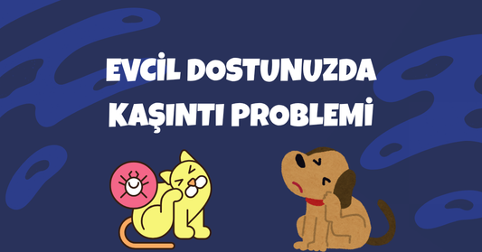 Kedi ve Köpeklerde Deri Problemleri: Kaşıntının Sebepleri ve Çözüm Yolları