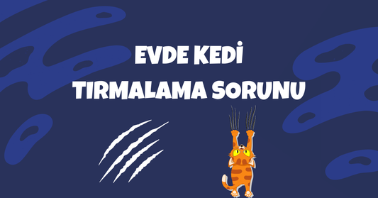 Evde Kedi Tırmalama Sorununu Çözmenin Etkili Yolları