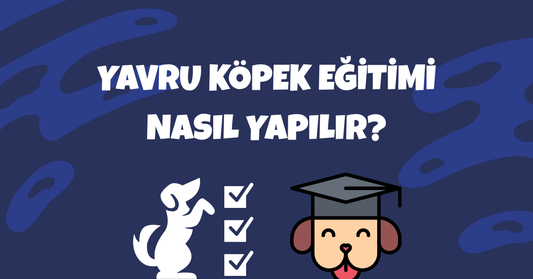 🐶 Yavru Köpek Eğitimi: Sağlıklı Bir Başlangıç İçin Bilmeniz Gereken Her Şey