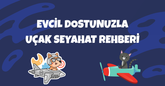 Evcil Hayvanınızla Uçak Yolculuğu: Bilmeniz Gerekenler ve Hazırlık Rehberi