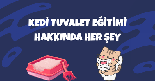 Kedi Tuvalet Eğitimi: Sabırlı Olun, Doğru Yolu Gösterin!