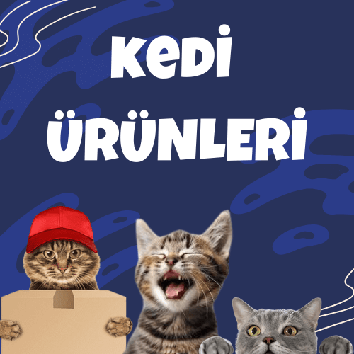 Kedi Ürünleri