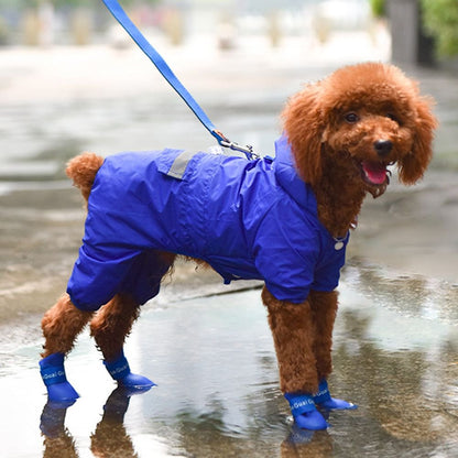 PawShield Kedi Köpek Ayakkabısı