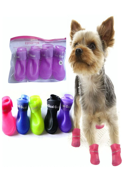 PawShield Kedi Köpek Ayakkabısı