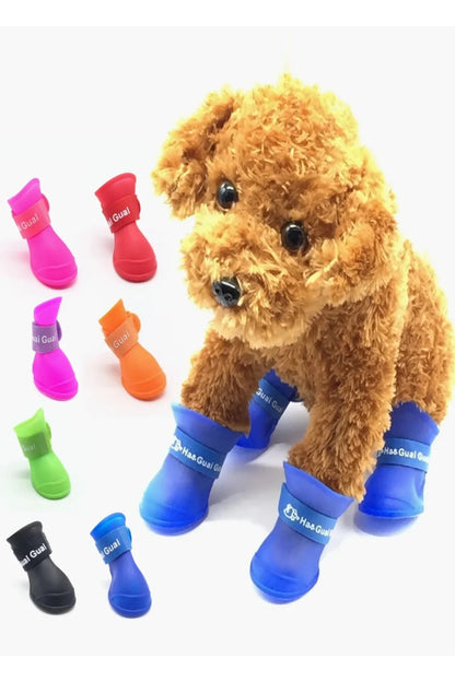 PawShield Kedi Köpek Ayakkabısı