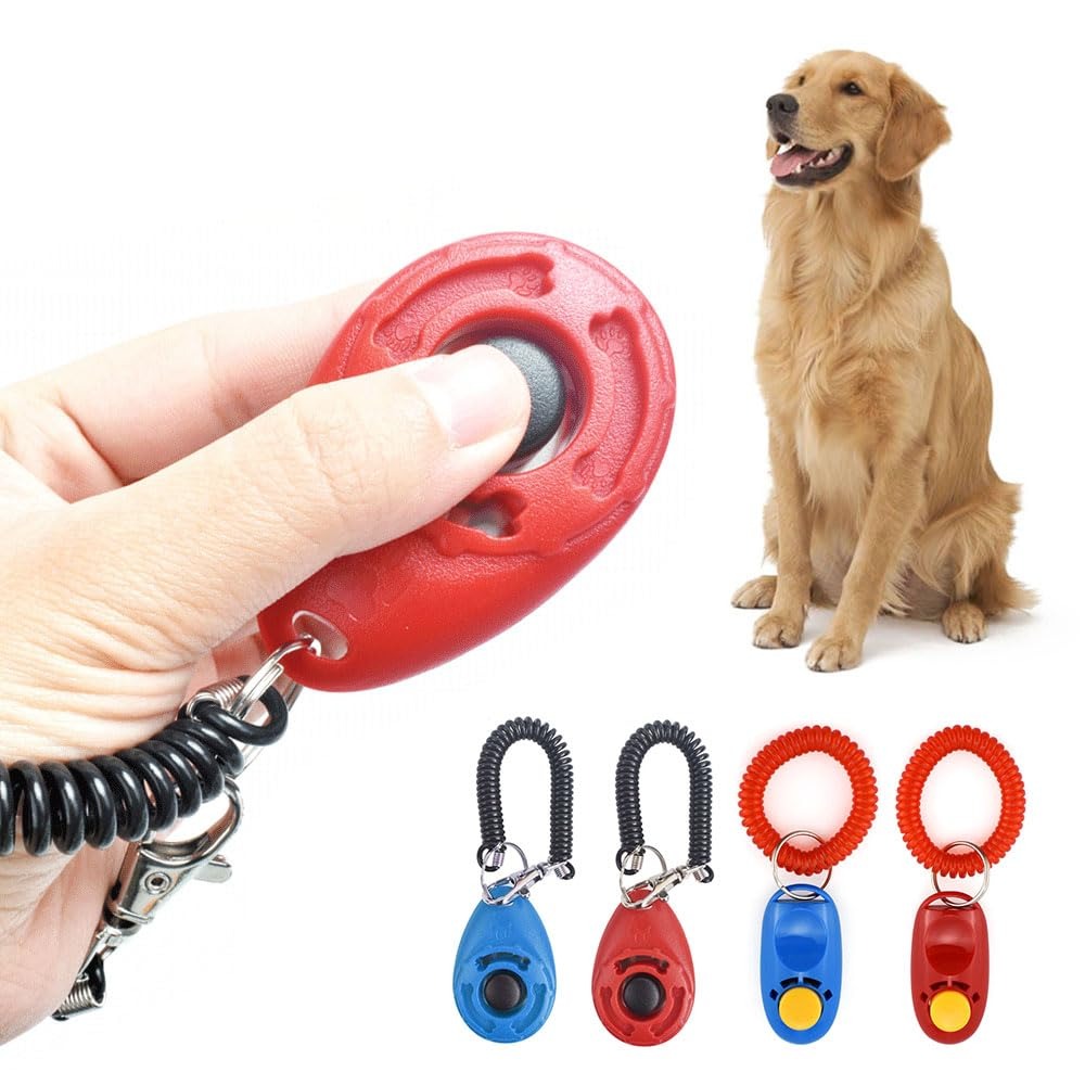 ClickNPlay Köpek Eğitimi Clicker