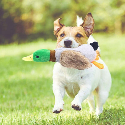 köpek oyuncak
