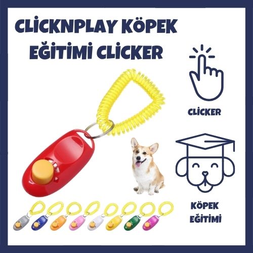 ClickNPlay Köpek Eğitimi Clicker