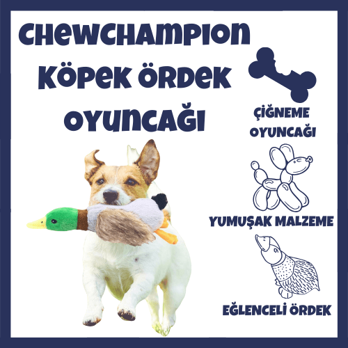 köpek çiğneme oyuncağı