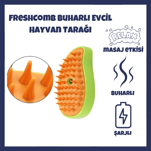 evcil hayvan masaj