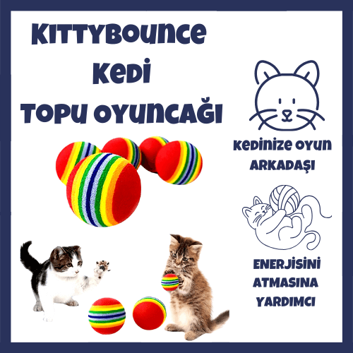 kedi ürünü