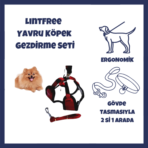 yavru köpek gezdirme seti