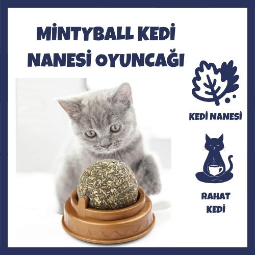 MintyBall Kedi Nanesi Oyun Topu