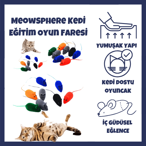 kedi eğitim oyuncağı