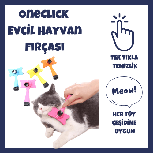 evcil hayvan fırçası