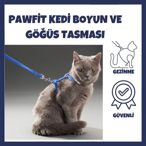 PawFit Kedi Boyun ve Göğüs Tasması