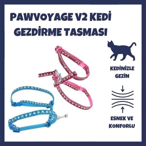 PawVoyage v2 Parlak Kedi Gezdirme Göğüs Tasması