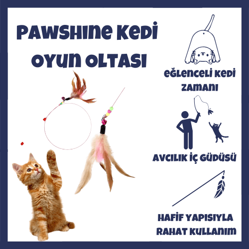 kedi oyun oltası