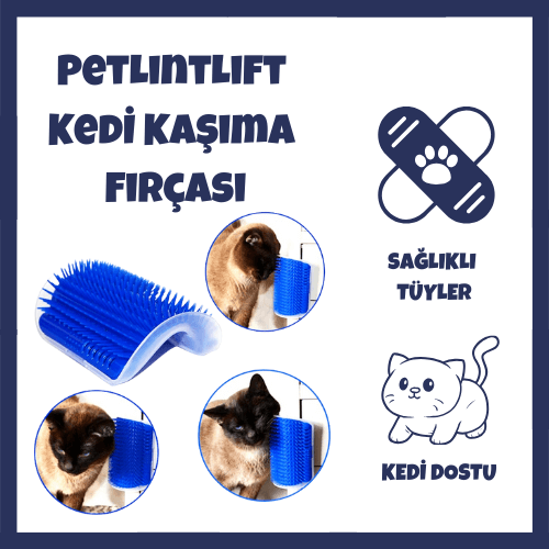 kedi kaşıma fırçası