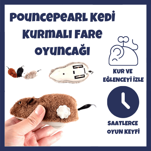 fare oyuncağı