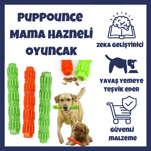 köpek oyuncağı