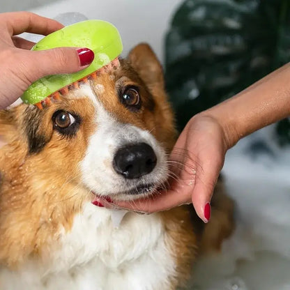 buharlı köpek tarağı