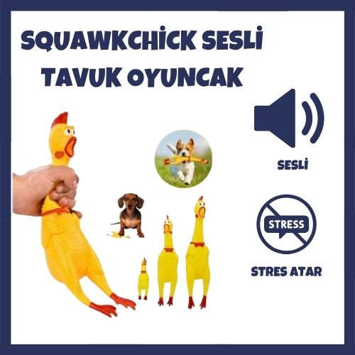 SquawkChick Sesli Kedi Köpek Oyuncağı